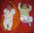 Yente 1 maart 2009  (27)